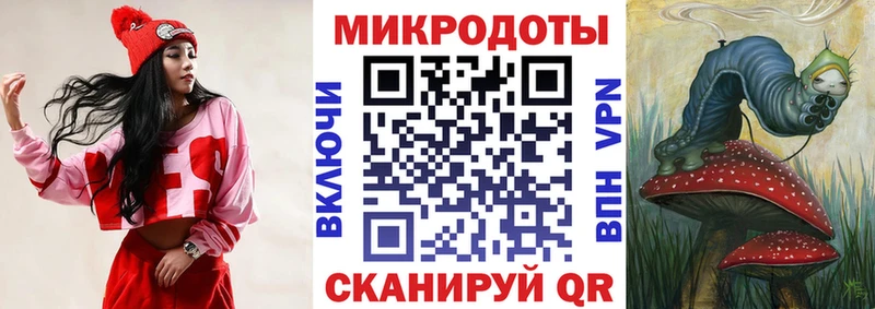 наркотики  Щёлкино  Псилоцибиновые грибы MAGIC MUSHROOMS 